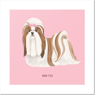 cute shih tzu Posters and Art